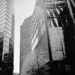 Photographie de Romain Wisniewski