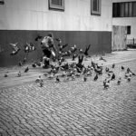 Photographie de Romain Wisniewski