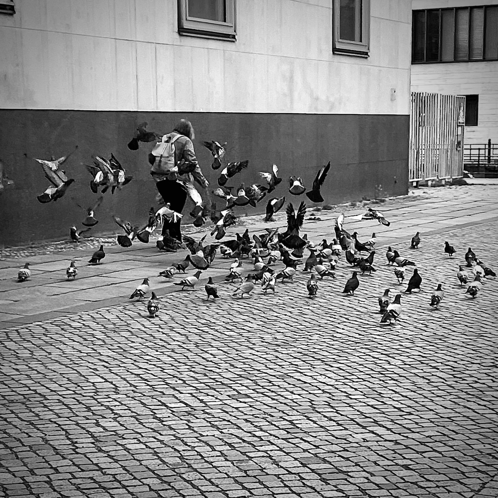 Photographie de l’œuvre La dame aux oiseaux - Technique : Photographie - Créée par l’artiste Romain Wisniewski en 2023 — Romain Wisniewski, • Photographer Profile