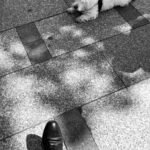 Photographie de Romain Wisniewski