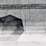 Photographie de Romain Wisniewski