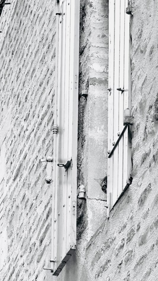 Photographie de l’œuvre L’œil observateur - Technique : Photographie - Créée par l’artiste Romain Wisniewski en 2024 — Romain Wisniewski, • Photographer Profile