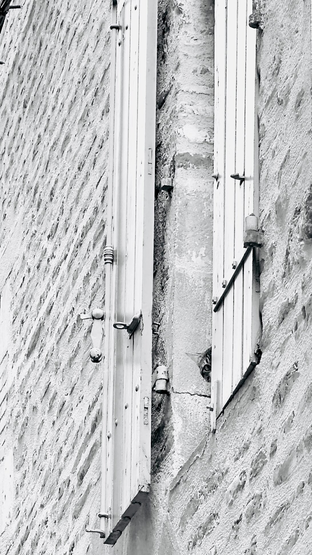 Photographie de l’œuvre L’œil observateur - Technique : Photographie - Créée par l’artiste Romain Wisniewski en 2024 — Romain Wisniewski, • Photographer Profile