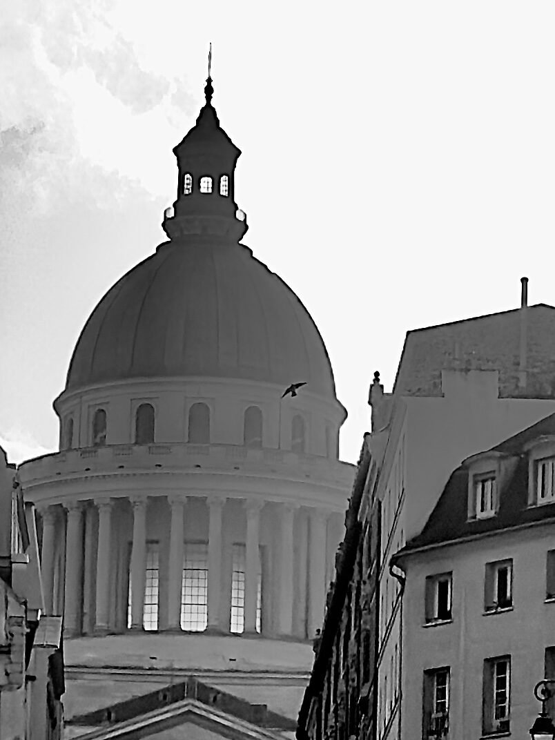 Photographie de l’œuvre L’oiseau du Panthéon - Technique : Photographie - Créée par l’artiste Romain Wisniewski en 2023 — Romain Wisniewski, • Photographer Profile