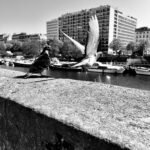 Photographie de Romain Wisniewski
