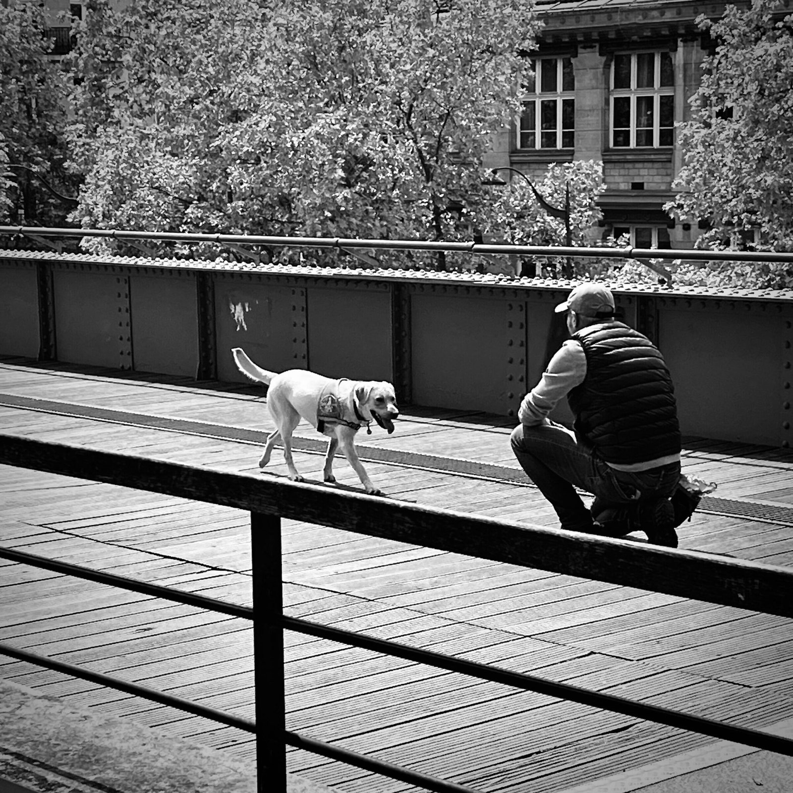 Photographie de l’œuvre Une belle complicité - Technique : Photographie - Créée par l’artiste Romain Wisniewski en 2023 — Romain Wisniewski, • Photographer Profile